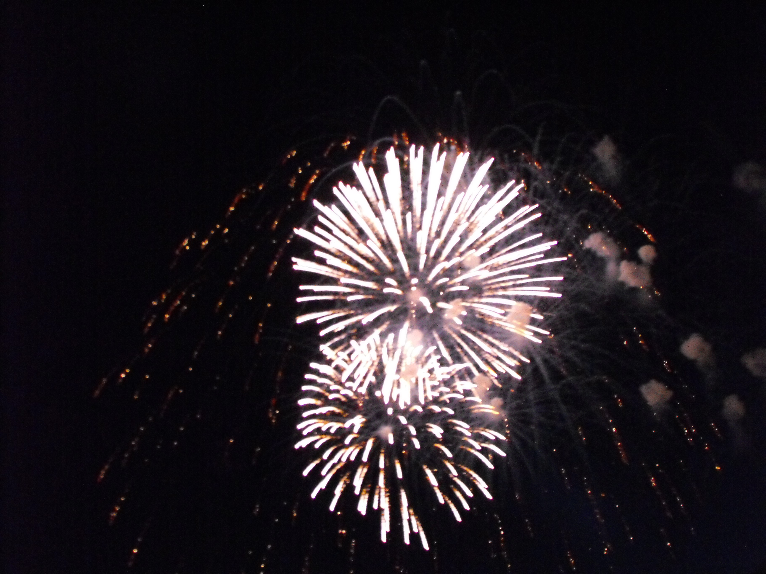 ./2010/Fourth of July/4th July Fireworks Wilm 0034.JPG